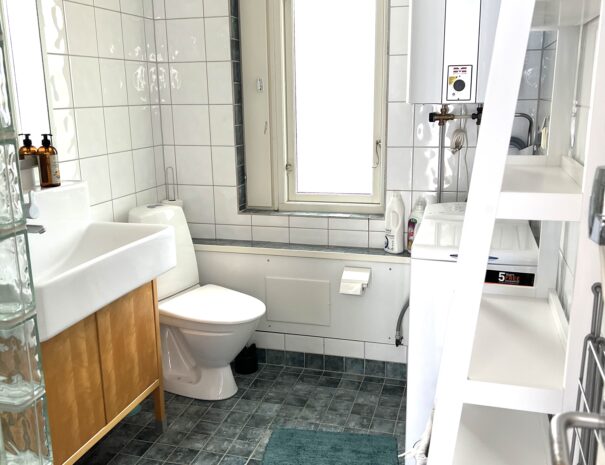 Ljunghusen Guesthouse Bathroom.