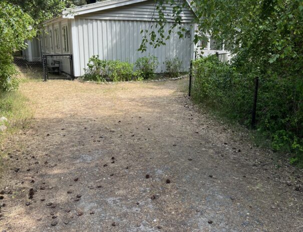 Ljunghuesen Guesthouse Parking.