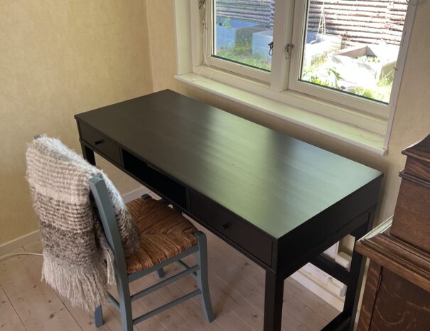 Ljunghusen Guesthouse - Desk.