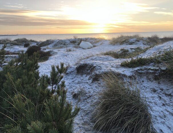 Ljunghusen Guesthouse - Beach.