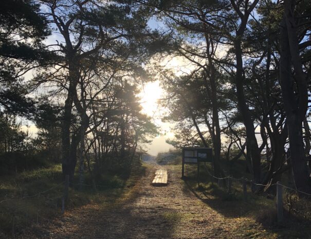 Ljunghusen Guesthouse - To the beach.