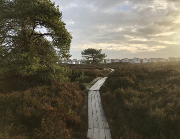 Ljunghusen Guesthouse - To the beach.