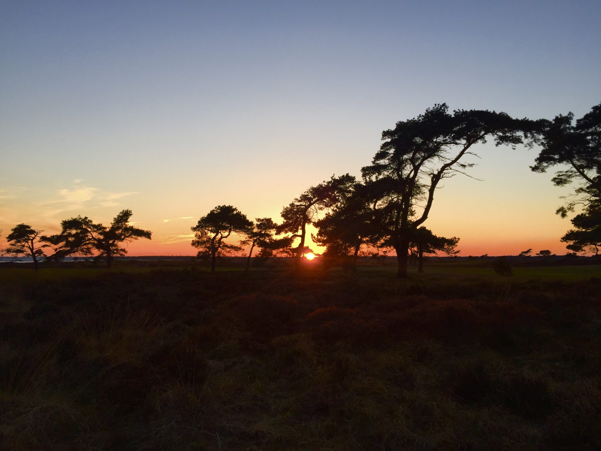 Ljunghusen Guesthouse - Sunset.