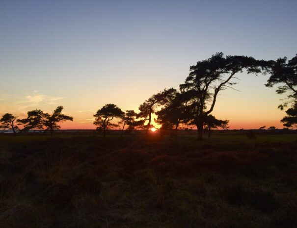 Ljunghusen Guesthouse - Sunset.