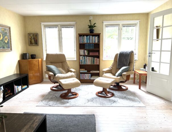 Ljunghusen Guesthouse living room with 2 comfortable chairs.